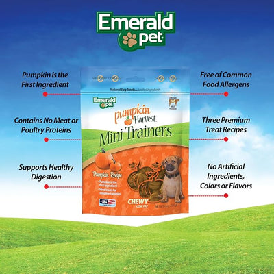 Emerald Pet Pumpkin Harvest Mini Trainers Dog Treats, Pumpkin Flavor, 6 oz – Soft Chewy Low-Fat Training Treats with Real Pumpkin for Digestive Health – Natural, Wheat-Free, Meat-Free, Made in USA