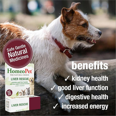 HomeoPet Liver Rescue Safe and Natural Liver-Support Supplement for Cats Dogs and Other Small Animals 15 Milliliters