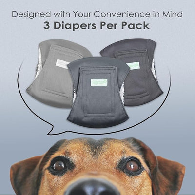 wegreeco Washable Male Dog Belly Band (Stylish Pattern)- Pack of 3 - Washable Male Dog Belly Wrap, Dog Diapers Male (XX-Large)