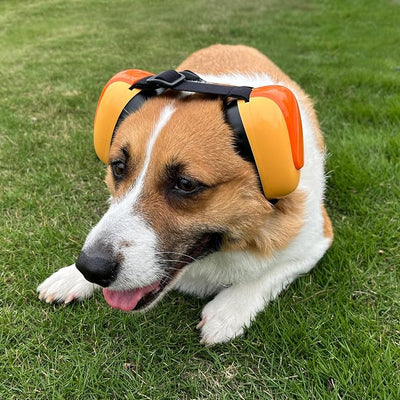 derYEP Dog Earmuffs GEN2 For Hearing Protection 30dB NRR ear muffs noise protection (Large, Deep Forest)