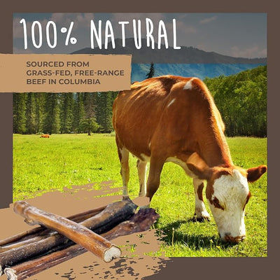 Mighty Paw Naturals Variety Pack Bully Sticks for Dogs - Grass Fed Beef Chews. Dog Bully Sticks for Large Pets, Medium and Small Breeds. Lower Odor Treats for Small Pets. Single Ingredient