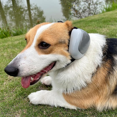 derYEP Dog Earmuffs GEN2 for Hearing Protection 30dB NRR Ear Muffs Noise Protection (Large, Energetic Tangerine)