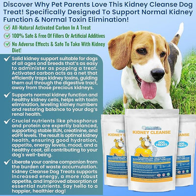 Kidney Cleanse Beef Dog Treats Supports Normal Kidney Toxin Elimination: 20 Oz. Low Protein Beef Dog Treats for Kidney Support. Kidney-Friendly Dog Food Diet Treat.