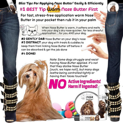 The Blissful Dog Havanese Nose Butter for Dry, Cracked Skin, Lick-Safe Dog Nose Balm with Moisturizing Shea Butter, Almond, Olive, and Essential Oils, Pet Supplies, Uncented, 0.50 oz.