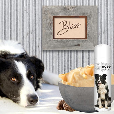 The Blissful Dog Border Collie Nose Butter for Dry, Cracked Skin, Lick-Safe Dog Nose Balm with Moisturizing Shea Butter, Almond, Olive, and Essential Oils, Pet Supplies, Uncented, 0.50 oz.
