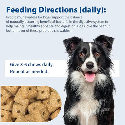 Probios Digestive Support Chewables for Dogs, Daily Probiotic Supplement with Digestive Enzymes and Prebiotics for Gut Health and Immune Support, 1 lb (Pack of 3)