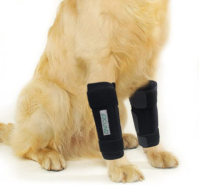 Dog Front Leg Brace, Pair of Dog Leg Brace with Metal Strips, Canine Front Leg Hock Wrap Sleeve for Carpal Support, Protects Wounds Brace Heals and Prevents Injuries and Sprains (S/M)