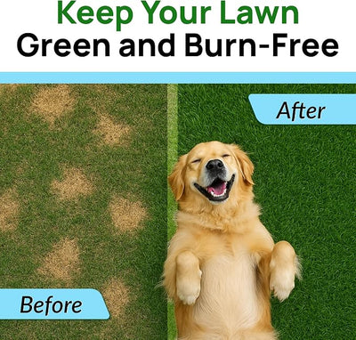 PAWFECTCHEW Green Grass Dogs Chews w/Probiotics - Prevent Urine Burning Grass - Pee Gras Spot Saver - Dog Urine Neutralizer for Lawn Treats, UT & Gut Health for Dogs, Lawn Burn from Dog Urine