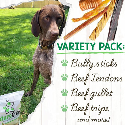 Nature Gnaws Variety Pack for Large Dogs (12 Count) - Bully Sticks, Beef Tendons and Tripe Twists for Dogs - Natural Long Lasting Beef Dog Chew Bones - Rawhide Free