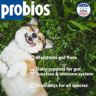 Probios Digestive Support Probiotic for Dogs, Horses, Cats, Gut Health Powder for All Species, Daily Supplement for Digestion Immune Support, 240 Grams