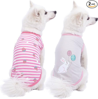 Blueberry Pet Pack of 2 Soft & Comfy Wonderland Striped Cotton Blend Dog T Shirts, Back Length 10", Clothes for Dogs