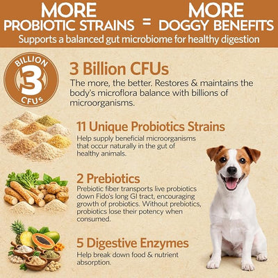 Fidobiotics Good Guts Probiotics for Dogs – Dog Probiotic Powder for Digestive Health, Gas Relief & Firmer Stools, 3B CFUs, Enzymes & Prebiotics, Small Dogs, Puppies & Adults