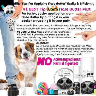 The Blissful Dog Every Dog Nose Butter, Versatile Dog Nose Balm for Dry Nose, Handcrafted Nose Moisturizer, Easy-to-Apply Dog Essentials, Unscented, 2.25 oz.