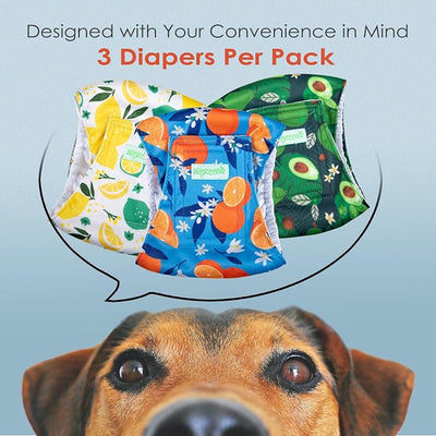 wegreeco Washable Male Dog Belly Band (Stylish Pattern)- Pack of 3 - Washable Male Dog Belly Wrap, Dog Diapers Male (Fruit, X-Small)