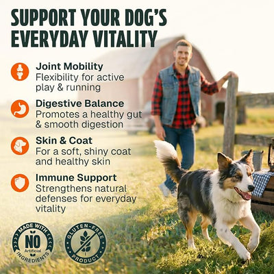 Dog Vitamins and Supplements 250 Chews - 26 in 1 Dog Multivitamin Soft Chews with Glucosamine, Chondroitin, Probiotics, Omega 3 - Hip & Joint, Skin & Coat, Immune Support - Chicken Flavor