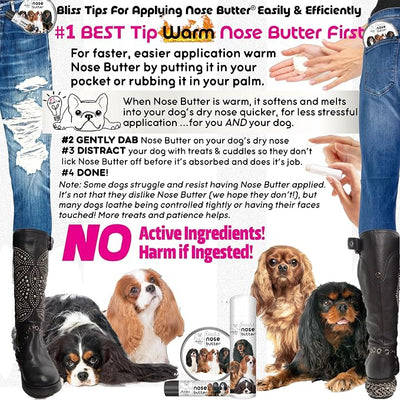 The Blissful Dog Cavalier King Charles Spaniel Nose Butter, Versatile Dog Nose Balm for Dry Nose, Handcrafted Nose Moisturizer, Easy-to-Apply Dog Essentials, Unscented, 2 oz.