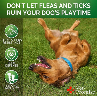 Flea and Tick Prevention for Dogs Chewables - All Natural Flea & Tick Control Chews - Oral Pills for Dogs Supplement - All Breeds and Ages - Made in USA - 120 Tablets