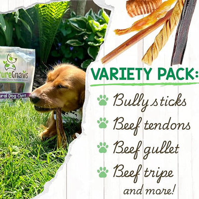 Nature Gnaws Variety Pack for Small Dogs (12 Count) - Bully Sticks, Beef Tendons and Tripe Twists for Dogs - Natural Long Lasting Beef Dog Chew Bones - Rawhide Free