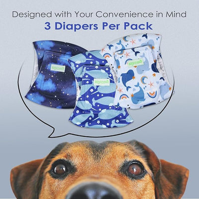 wegreeco Washable Male Dog Belly Band (Stylish Pattern)- Pack of 3 - Washable Male Dog Belly Wrap, Dog Diapers Male (Whale, XXL)