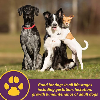 Horse Health Canine Red Cell, Liquid Vitamin-Iron-Mineral Supplement for Puppies, Active Senior and Pregnant Dogs, Dog Vitamins and Supplements, 1 Quart