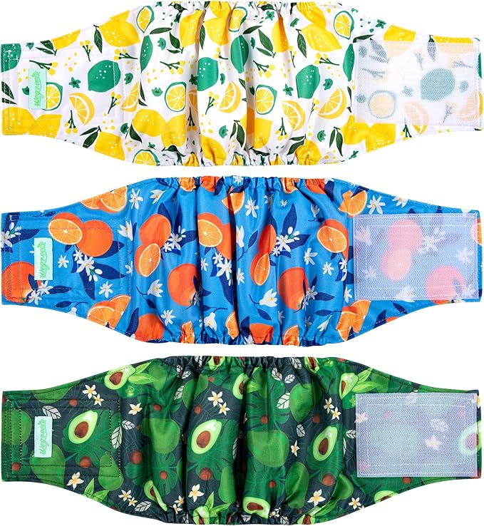 wegreeco Washable Male Dog Belly Band (Stylish Pattern)- Pack of 3 - Washable Male Dog Belly Wrap, Dog Diapers Male (Fruit, X-Small)