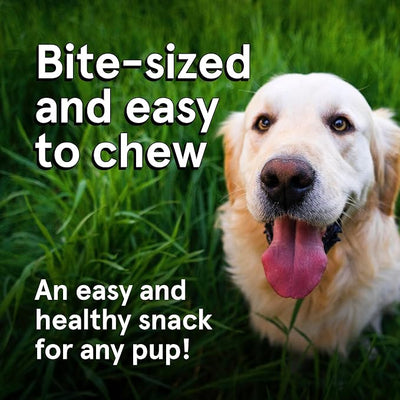 Real Meat Dog Treats - Two 12oz Bag of Bite-Sized Air-Dried Lamb Jerky for Dogs - Grain-Free Jerky Dog Treat Made up of 95% Free-Range, Grass Fed Lamb - All-Natural High Protein Dog Treat