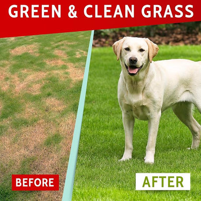 PAWFECTCHEW Green Lawn Chews for Dogs - Green Grass Chews - Urine Neutralizer Grass Burn Spots - Lawn Burn from Dog Urine - Probiotics & Enzymes - Made in USA - Bacon Flavor - 120 Lawn Saver Chews