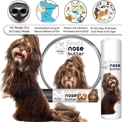 The Blissful Dog Havanese Nose Butter for Dry, Cracked Skin, Lick-Safe Dog Nose Balm with Moisturizing Shea Butter, Almond, Olive, and Essential Oils, Pet Supplies, Uncented, 0.50 oz.