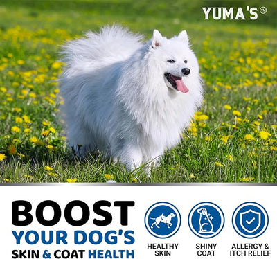 Omega 3 Fish Oil for Dogs - 170 Chews - Skin and Coat Supplement - Omega 3 for Dogs - Dry & Itchy Skin Relief Treatment - Allergy Support Dog Anti Shedding Treats - Salmon - EPA & DHA - Chicken Flavor