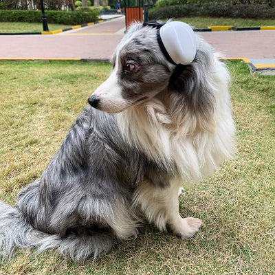 derYEP Dog Earmuffs for Hearing Protection 29dB NRR Ear Muffs Noise Protection (Large, White)