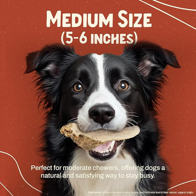 Heartland Elk Antlers for Dogs - Daily Dental Care Chews for Aggressive Chewers to Reduce Plaque & Prevent Destructive Behavior (Splinter Free, Split, 5", Medium, 1-Pack, Grade A, USA Made)