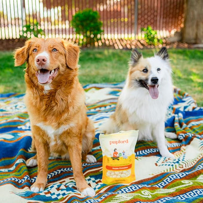 Pupford Cheese Crunchies, All-Natural, Healthy, Freeze Dried, Single-Ingredient Treat for Dogs & Puppies (Gouda, 7.50 oz)