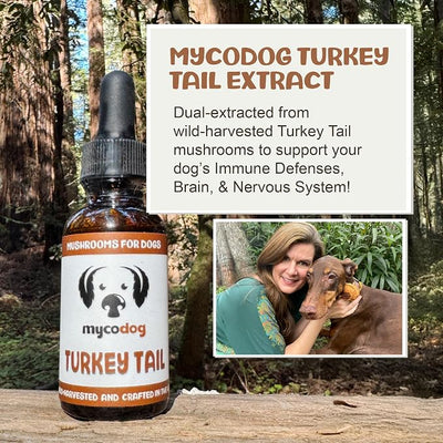 MycoDog Turkey Tail Mushroom for Dogs - Immune & Gut Health Support - Turkey Tail Supplement for Dogs - Daily Wellness Drops