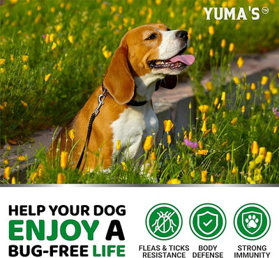 Flea and Tick Prevention for Dogs Chewables - 170 Treats - Natural Dog Flea and Tick Treatment Chewable Supplement - Oral Pills - All Breeds & Ages - Soft Chews - Made in USA - Chicken Flavor