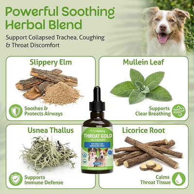 Pet Wellbeing Throat Gold for Dogs - Supports Collapsed Trachea & Throat Discomfort with Mullein & Slippery Elm for Kennel Cough - NASC Certified & Vet-Formulated 2 oz Liquid Formula