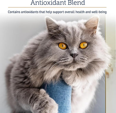 Rx Vitamins Onco Support - Dog & Cat Immune Support Supplement - 300g | with Milk Thistle for Cats, Spirulina, Kelp Powder for Dogs, and More - Also Aids in Gut Health and Digestive Support