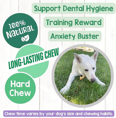 Nature Gnaws Beef Paddywack Tendons for Dogs 5-6" (5 Count) - Long Lasting for Aggressive Chewers - Natural Beef Dog Chew Bones - Rawhide Free