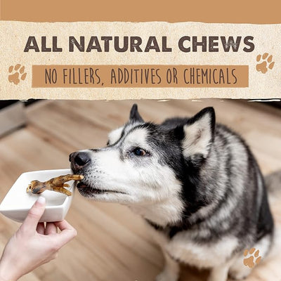 Mighty Paw Naturals Chicken Feet Dog Treats (30 Pack) | All Natural Dehydrated Chicken Feet for Dogs. Dried Treat for Pets. Single Ingredient Chews