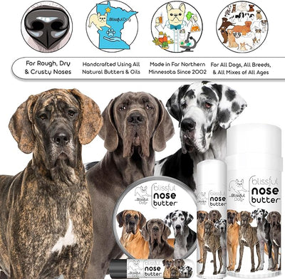 The Blissful Dog Great Dane Unscented Nose Butter - Dog Nose Butter, 4 Ounce