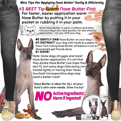 The Blissful Dog Xoloitzcuintli Nose Butter for Dry, Cracked Skin, Lick-Safe Dog Nose Balm with Moisturizing Shea Butter, Almond, Olive, and Essential Oils, Pet Supplies, Uncented, 8 oz.