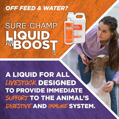 Vita Charge Liquid Boost, 32 Oz - Digestive Health Supplement for Beef Cattle, Sheep, Goats & Swine - Promotes Feed & Water Intake During Stress, Recovery & Weaning