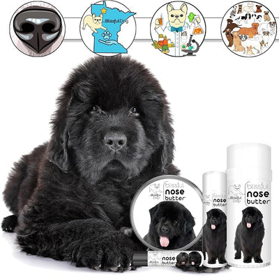 The Blissful Dog Newfoundland Nose Butter for Dry, Cracked Skin, Lick-Safe Dog Nose Balm with Moisturizing Shea Butter, Almond, Olive, and Essential Oils, Pet Supplies, Uncented, 1 oz.