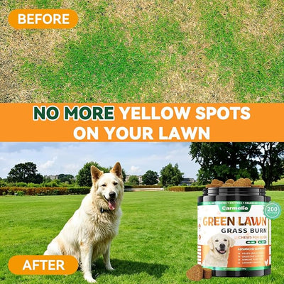 Carmelie Dog Urine Neutralizer for Lawn Grass Burn – Dog Pee Grass Chews 200ct Green Grass Burn Spot Chews for Dogs with DL-Methionine, Probiotics & Enzymes – Supports Urinary & Digestive Health