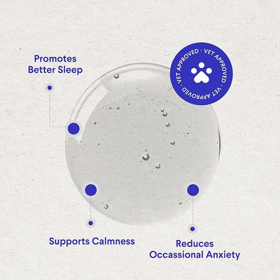 Wonder Paws Melatonin for Dogs – with L-Theanine (Suntheanine®) – Occasional Anxiety Relief for Dogs, Stress, Calming, Relaxation & Sleep Support – Liquid Dog Melatonin 2oz (60ml)