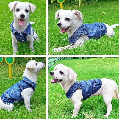 Dog Jean Jacket, Blue Denim Shirt Classic Lapel Vest Coat Costume Puppy T-Shirt, Comfort Tank Top Cool Apparel, Washed Pet Clothes for Dogs Boy Girl (Blue, Medium)