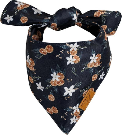 Remy+Roo Dog Bandanas - 2 Pack | Evergreen Christmas Dog Bandanas Set | Premium Durable Fabric | Patented Shape Bandanas for Dogs (Clementine, Small)