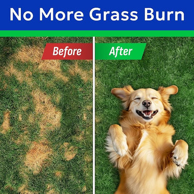 BARK&SPARK Green Grass Dog Chews – Dog Pee Grass & Urine Neutralizer for Lawn, Grass Burn Spot Chews with Probiotics & Enzymes, Helps Reduce Lawn Burn from Dog Urine (120 Soft Chews)