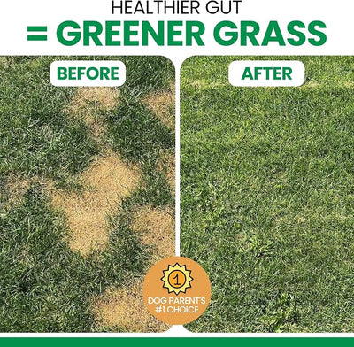 Dog Urine Neutralizer for Lawn, 240 Soft Chews - Green Grass Saver - Eliminates Burns and Yellow Spots - Female and Male Dog Pee Grass Repair with Natural Ingredients (2 Packs of 120)