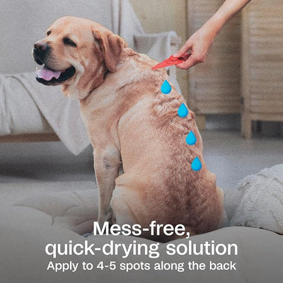 ADAMS Plus Flea & Tick Prevention Spot On for Dogs, Extra Large Dogs, Kills Fleas & Ticks (Brown Dog/Deer Ticks), Kills and Repels Mosquitoes, Prevents Flea Infestations, 3-Month Supply, 3 Pack